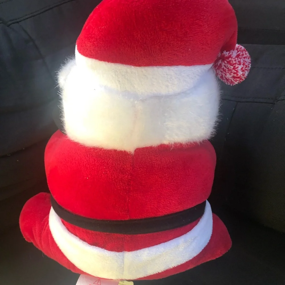 Plush Santa with Throw